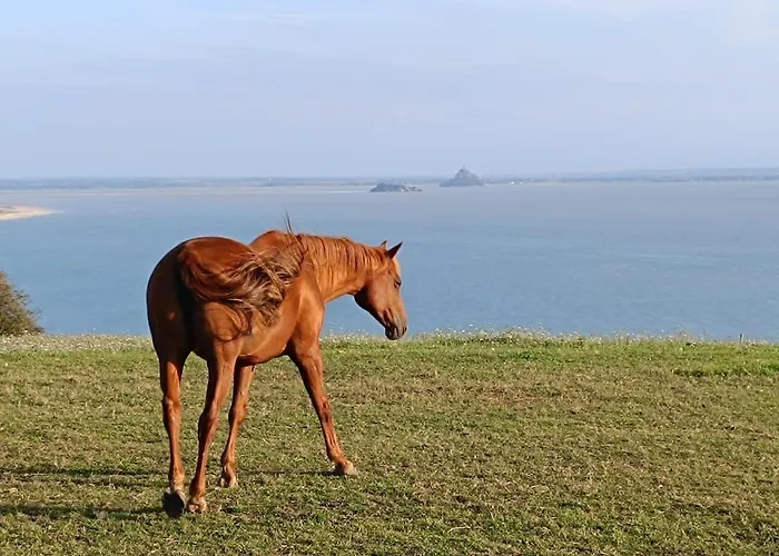 La Terrasse, Duplex Front De Apartamento Carolles